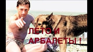 ЛЕТО И АРБАЛЕТЫ Высоцкий ai fake [upl. by Maud]