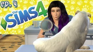 Vet Lauren Has No Idea How to Vet  The Sims 4 Raising YouTubers PETS  Ep 4 Cats amp Dogs [upl. by Llenehs431]