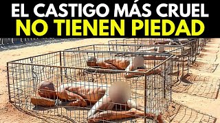 Prisión Rusa Los Presos Esperan Morir a 50 grados Centígrados [upl. by Hairej]