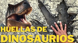 Rastros y huellas de Dinosaurios 🦖 en el Valle de Tehuacán Puebla [upl. by Behka]