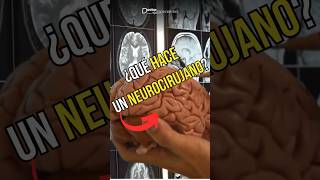 ¿Que hacen los Neurocirujanos  Doctores Especialistas [upl. by Letnohc765]