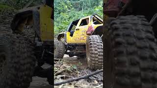 Rc Rubicon offroad short [upl. by Lynna]