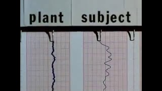 The Secret Life of Plants 1978 full title song muted [upl. by Blader]