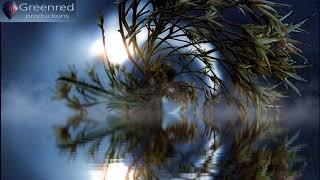 Deep Sleep Music Insomnia Music 34 Hz Delta Waves Binaural Beats Sleeping Music [upl. by Floss]