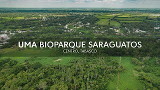 UMA BIOPARQUE SARAGUATOS reserva ecológica en Centro Tabasco [upl. by Euh]