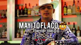 MAYITO FLACO  PANTER BELICO  2024 [upl. by Esilrac]