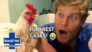 Bondi Vets Funniest Cases 😂  Compilation  Bondi Vet [upl. by Yrevi]