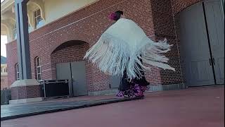 Flamenco dance at the Multicultural Night in Duluth GA 2024 [upl. by Roose]