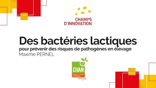 📢 DES BACTERIES LACTIQUES POUR PREVENIR DES RISQUES DE PATHOGENES EN ELEVAGE  FCDI2024 [upl. by Dorraj442]