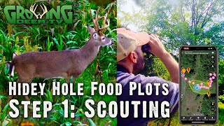 12 Tips On Where to Put Small Food Plots  Deer Hunting Strategy 714 [upl. by Timms48]