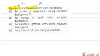 Diploblastic and triploblastic are terms that describe [upl. by Elicia]