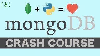 MongoDB with Python Crash Course  Tutorial for Beginners [upl. by Neztnaj]