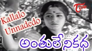 Saami Saami full song pushpa songs Rajalakshmi SenthilganeshMonika yadhavAlluarjunDspCoversong [upl. by Wilda]