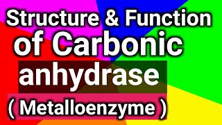 structure amp function of Carbonic anhydrase Metalloenzyme [upl. by Hirai513]