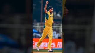 Mitchell Starc Ki IPL ma Performance [upl. by Eah396]