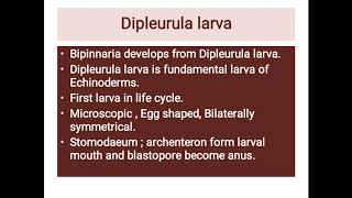 Development of bipinnaria larva [upl. by Leikeze101]