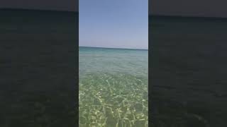 Yasmine Hammamet et les eaux cristallines 😍🇹🇳 beach travel hammamet summer [upl. by Mich]