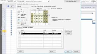 Project 2010 Calendario Semanas de Trabalho Periodos Customizados [upl. by Timon863]