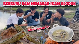 Ikan Glodok Alias Kerapu KW ‼️Banyak Yang Belum Tau Kalau Daging Ikan Ini Enak Di Makan Dan Bergizi [upl. by Lleuqar]