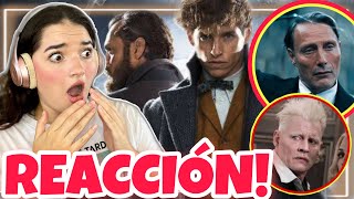 LA MEJOR REACCIÓN A Animales Fantásticos 3 Los Secretos de Dumbledore  LINDA ZETINA [upl. by Airamasor]