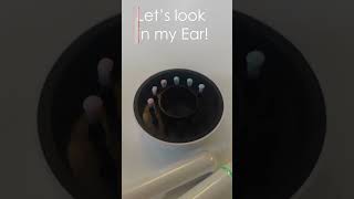 BeBird Pro Vik Veer review and giveaway  Ear Wax Camera [upl. by Esined]