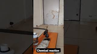 Chemical reaction  science experiments chemical reaction experiments school science experiments [upl. by Isaacson]