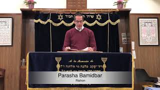 Lectura de la Parasha Bamidbar por David Gozlan  Rishon [upl. by Esorrebma940]