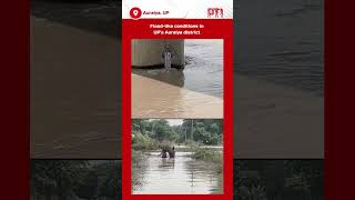 Floodlike conditions in UP’s Auraiya district [upl. by Lihkin983]