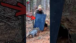 Woman Saves Trapped Bobcat shorts [upl. by Tarton]