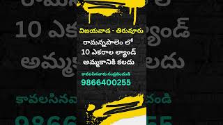 Land for Sale in Ramannapalem  Tiruvuru  Vijayawada  రామన్నపాలెం  9866400255  krishnadistrict [upl. by Arick]