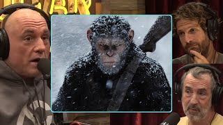 The Brutal Truth About Chimpanzees quotThey Eat Other Monkeysquot  Joe Rogan [upl. by Adnahsar267]