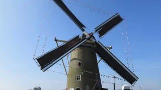 Molen de Windvang op 12 maart [upl. by Nasia]