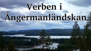 Verben i Ångermanländskan [upl. by Nwahsan850]