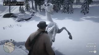 Red Dead Redemption 2 White Arabian Horse Guide 100 spawn rate [upl. by Ycnahc95]