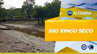 Porto de Moz decreta emergência devido à seca do Rio Xingu PA  SBT Altamira [upl. by Tillinger]