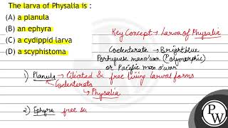 The larva of Physalia is  A a planula B an ephyra C a cydippid larva D a scyphistoma [upl. by Valeria]