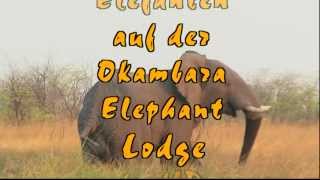 Namibia Okambara Elephant Lodge [upl. by Olnee]