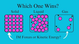 IM Forces vs TemperatureWhich One Wins [upl. by Aneetsyrk]