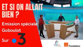 Et si on allait bien  Emission spéciale Goboulot sur France 3 [upl. by Nesyla250]