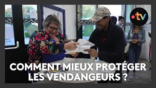 Un nouveau dispositif pour mieux protéger les vendangeurs de Champagne [upl. by Mcilroy]