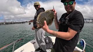 Fishing San Diego bay Spotties halibut 052524 Hookup Baits [upl. by Ryon56]