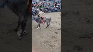 Rodeo Festival The Most INSANE Moments [upl. by Lindie651]