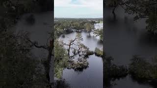 Flooding at Silver Oaks in ZephyrhillsFlorida after hurricane Milton [upl. by Lanny946]