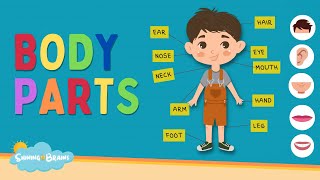 Learn Parts of Body Names  Body Parts Names for Kids  Human Body Parts  Kids English Vocabulary [upl. by Haet]