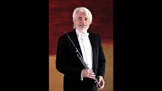 Johann Melchior Molter 16961765 Flute Concerto in G major Vladislav Brunner [upl. by Bara]