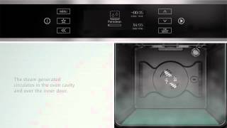 Bauknecht PureClean oven [upl. by Queston353]