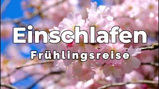 Frühlingsreise  Meditation zum Einschlafen und Entspannen mit Stimme  Stress und Sorgen loslassen [upl. by Jelle118]