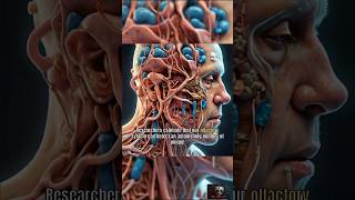 Unlocking the Power of Smell Olfactory Receptors Revealed facts shorts science [upl. by Laumas]