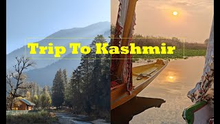 Trip To Kashmir With My Family II Exploring Kashmir In 10 days [upl. by Liva]