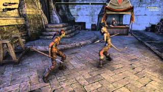 Spears in Elder Scrolls Online [upl. by Ecirtap]